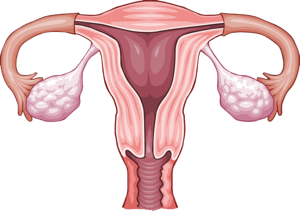 SamaraLaxineta.com